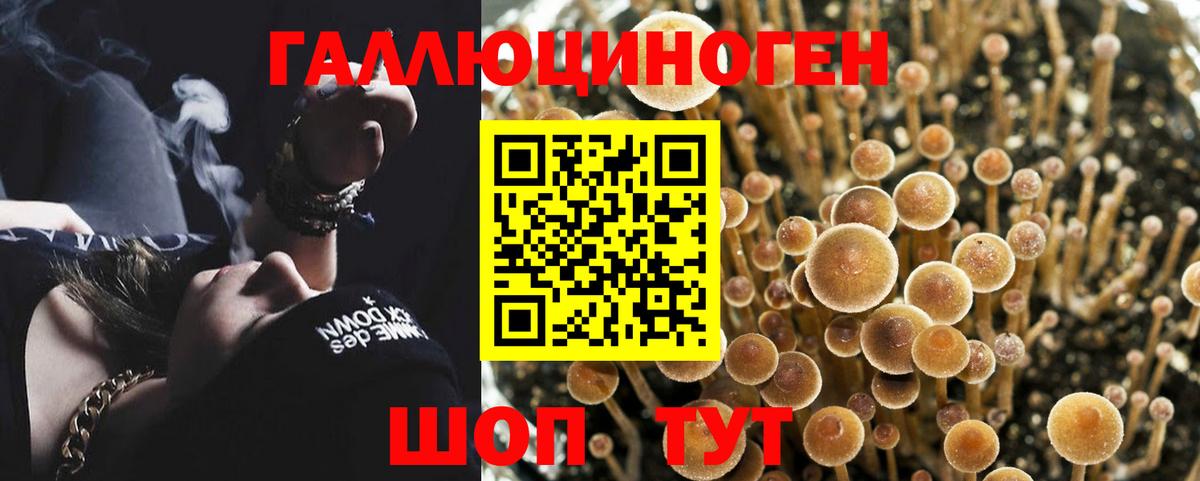 Псилоцибиновые грибы прущие грибы Миасс