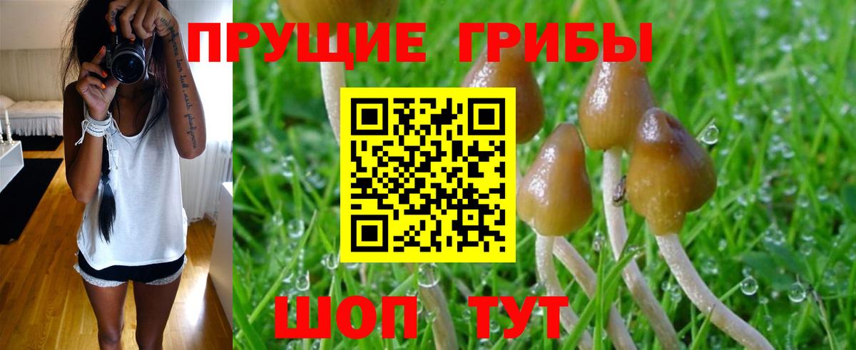 Галлюциногенные грибы Magic Shrooms  Вход с VPN  Галлюциногенные грибы ЛСД  Миасс 